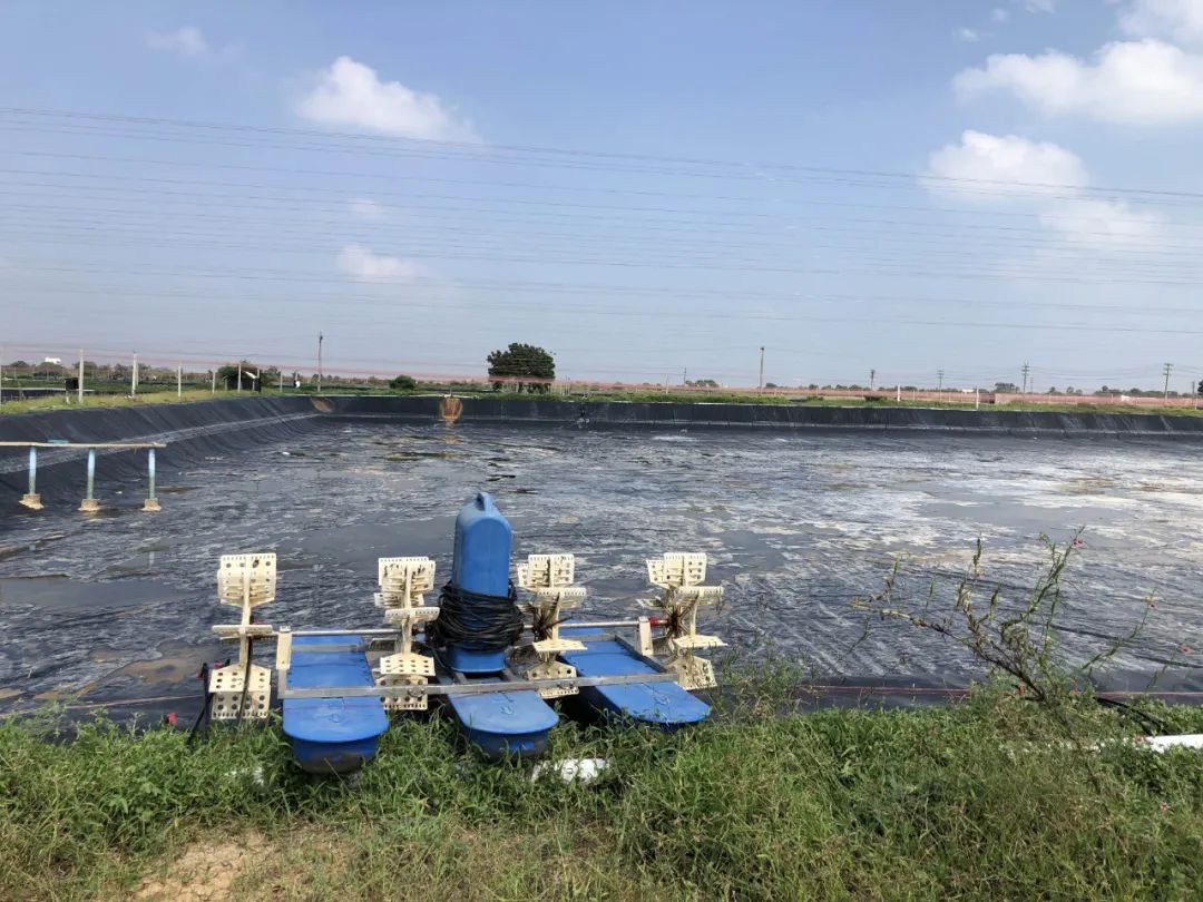 上海日仕福贸易有限公司——以专心成就安心,用细节打动客户(图23) 上海日仕福贸易有限公司——以专心成就安心,用细节打动客户(图23)