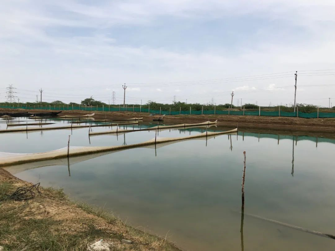 上海日仕福贸易有限公司——以专心成就安心,用细节打动客户(图26) 上海日仕福贸易有限公司——以专心成就安心,用细节打动客户(图26)