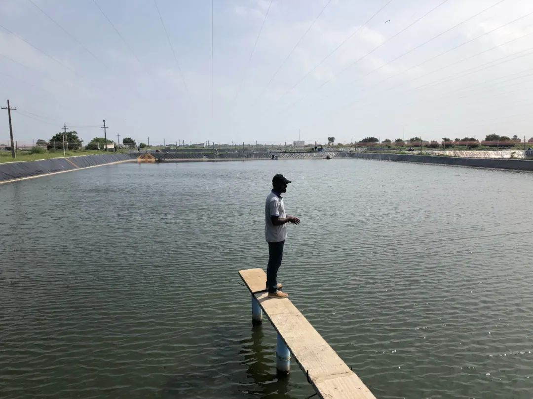 上海日仕福贸易有限公司——以专心成就安心,用细节打动客户(图24) 上海日仕福贸易有限公司——以专心成就安心,用细节打动客户(图24)