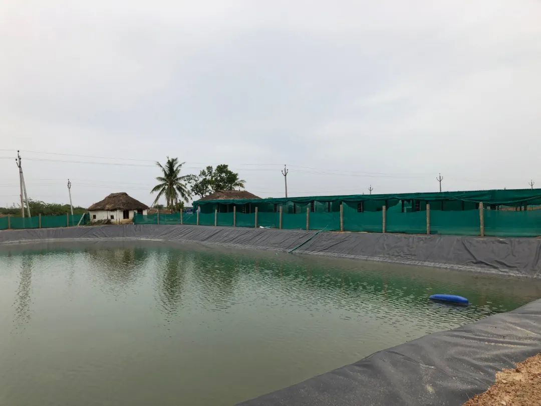 上海日仕福贸易有限公司——以专心成就安心,用细节打动客户(图25) 上海日仕福贸易有限公司——以专心成就安心,用细节打动客户(图25)