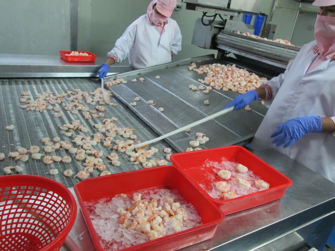 上海日仕福贸易有限公司——以专心成就安心,用细节打动客户(图32) 上海日仕福贸易有限公司——以专心成就安心,用细节打动客户(图32)