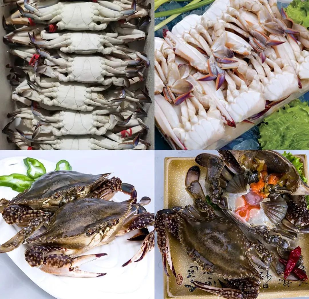 东港市大兴食品有限公司——专注餐桌海洋美食(图5) 东港市大兴食品有限公司——专注餐桌海洋美食(图5)