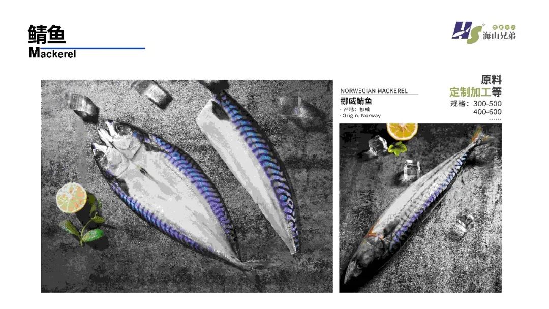 东港市大兴食品有限公司座落于辽宁省东港市新城区，由大兴水产商行于1992年创立并发展，至2012年正式成立公司，并创立“渔凯”品牌。下设大兴冷冻食品加工厂、鲜活水产批发门店、本地海鲜产品服务供应链、海(图13)